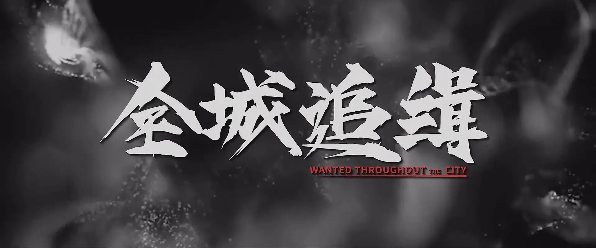 全城追缉